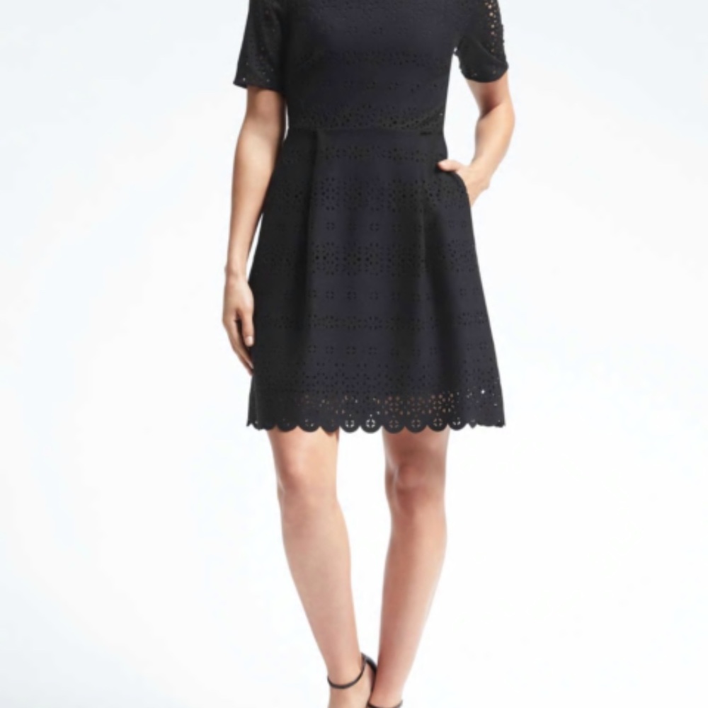 Banana Republic Laser Cut Fit and Flare Dress